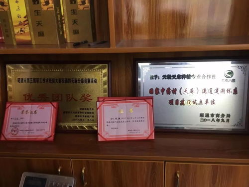 彝良農副產品加工廠 走綠色發展道路 培育優質天麻品牌