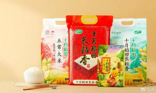 十月稻田上半年營收26億 同比增17.7 期內利潤1.26億